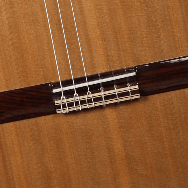 Alhambra Iberia Ziricote guitare classique 4/4 avec étui