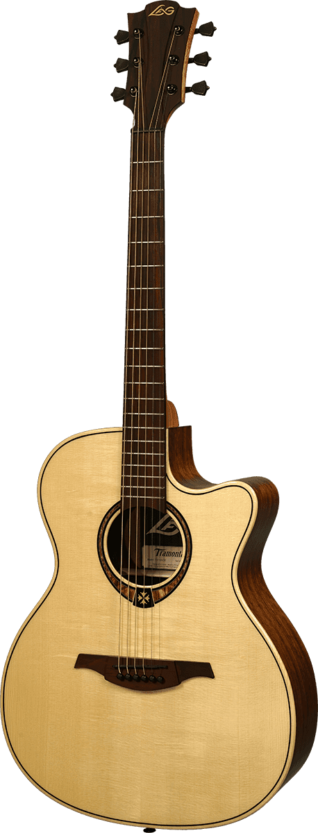 LAG acoustic guitar, Tramontane 318, auditorium