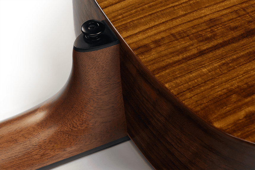 LAG acoustic guitar, Tramontane 318, auditorium