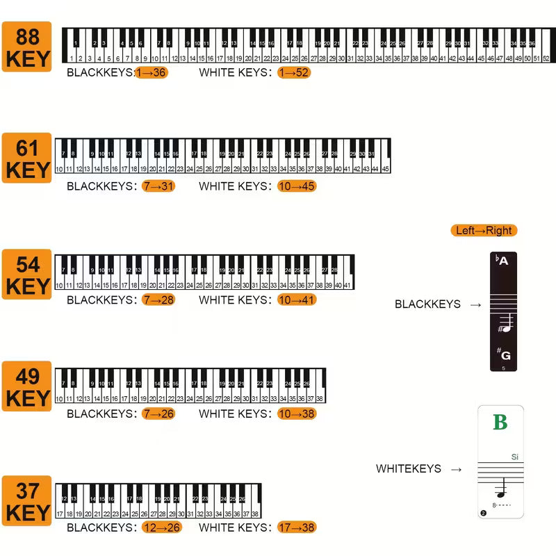 Basic Piano Keyboard Stickers for Beginners