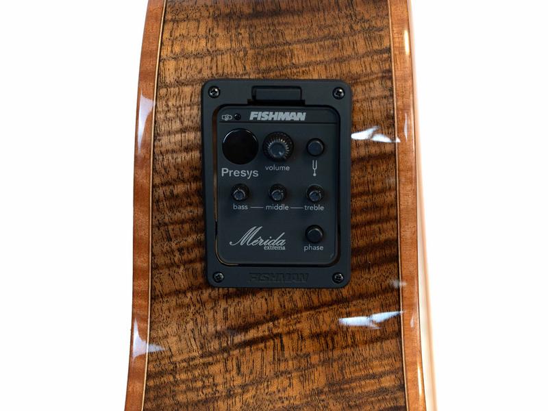 MERIDA acoustic guitar Procnias, OM cutaway