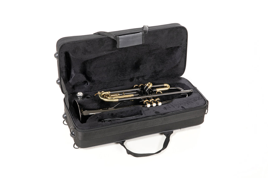Roy Benson TR-101K, anthrazit – Instrument im geöffneten Etui