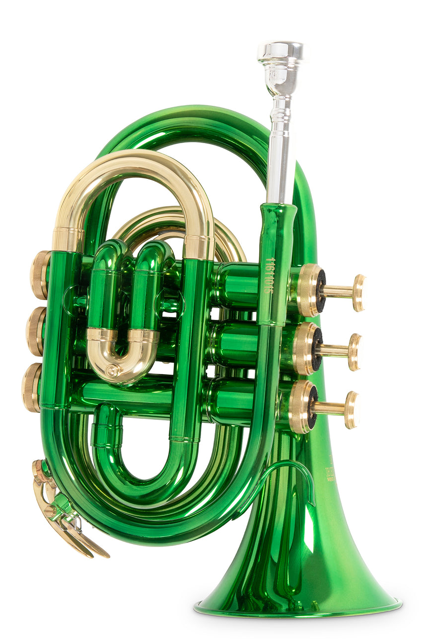 Roy Benson PT-101E, grün – aufrechte Vorderansicht