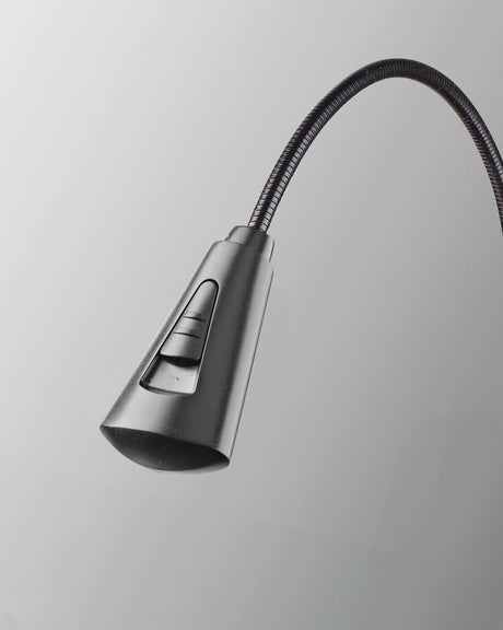 12263 Notenpultleuchte »2 LED FlexLight rechargeable«