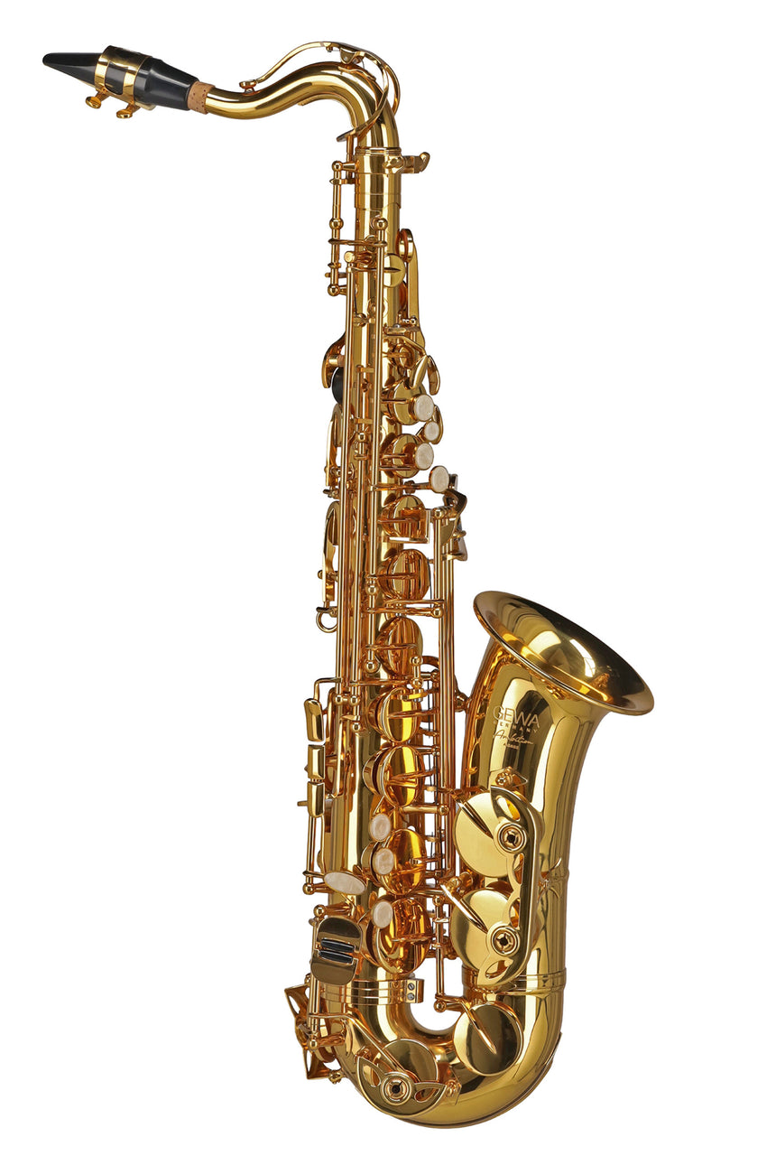 GEWA Germany Eb-Alt Kindersaxophon AS655 Ambition