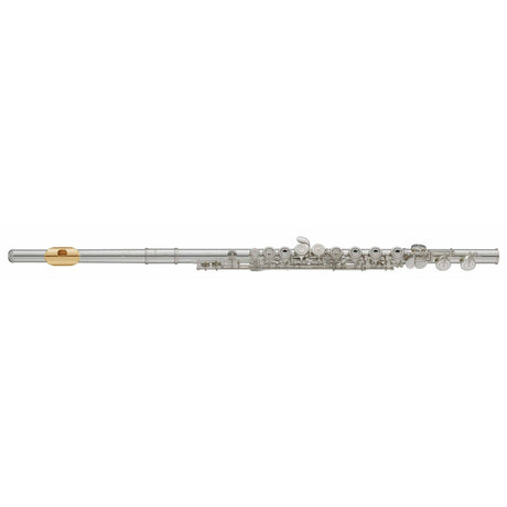 Yamaha YFL-312GL Querflöten-Bundle mit vergoldeter Mundlochplatte, Ständer & Pflegeset