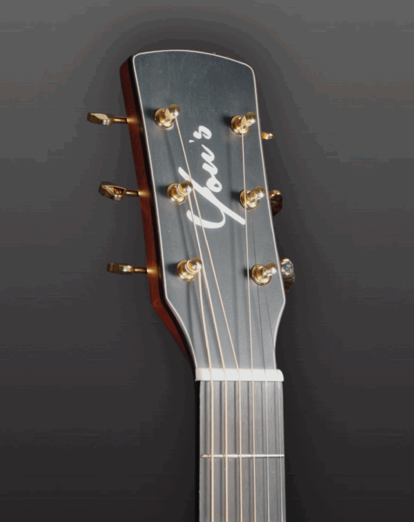 You's Guitar GA25E Pa Story Series