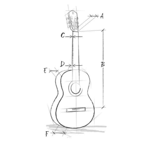 Alhambra Iberia Ziricote guitare classique 4/4 avec étui