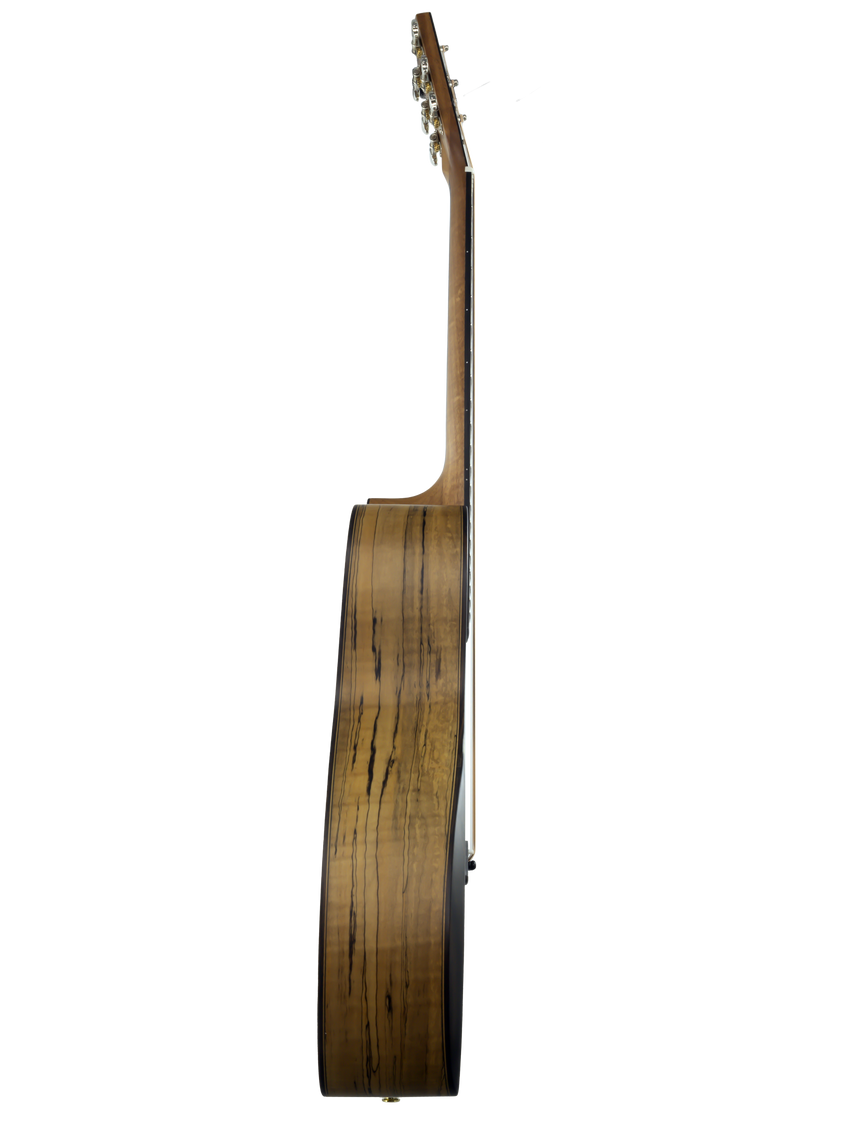 Shape Akustikgitarre Orchestra Modell 588S-MT-CEB - Musik-Ebert Gmbh