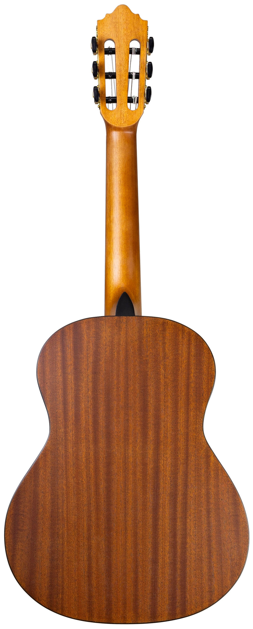 Contigo C-23 1/2, bois naturel mat – vue arrière