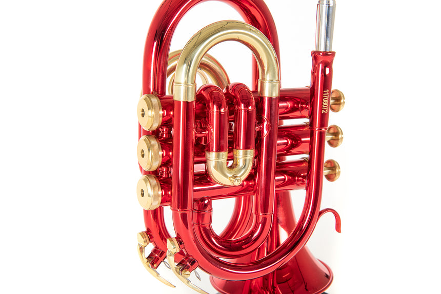 Roy Benson PT-101R, rouge – gros plan des pistons