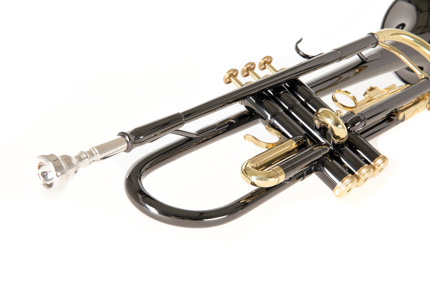Roy Benson TR-101K, anthrazit – Detail des Mundrohrs