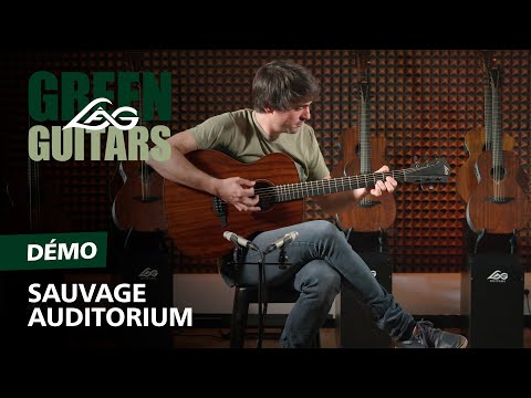 LAG acoustic guitar, Sauvage Auditorium with bag 
