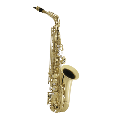 Antigua AS2155LQ-GH Altsaxophon-Bundle mit Ständer, Pflegeset & Bissplatten