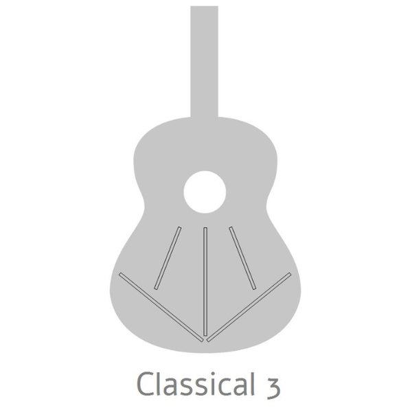 Alhambra 3C Konzertgitarre 4/4 mit Tasche - Musik-Ebert Gmbh